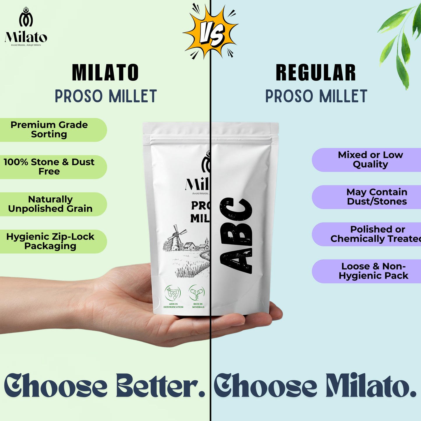Proso Millet Grain