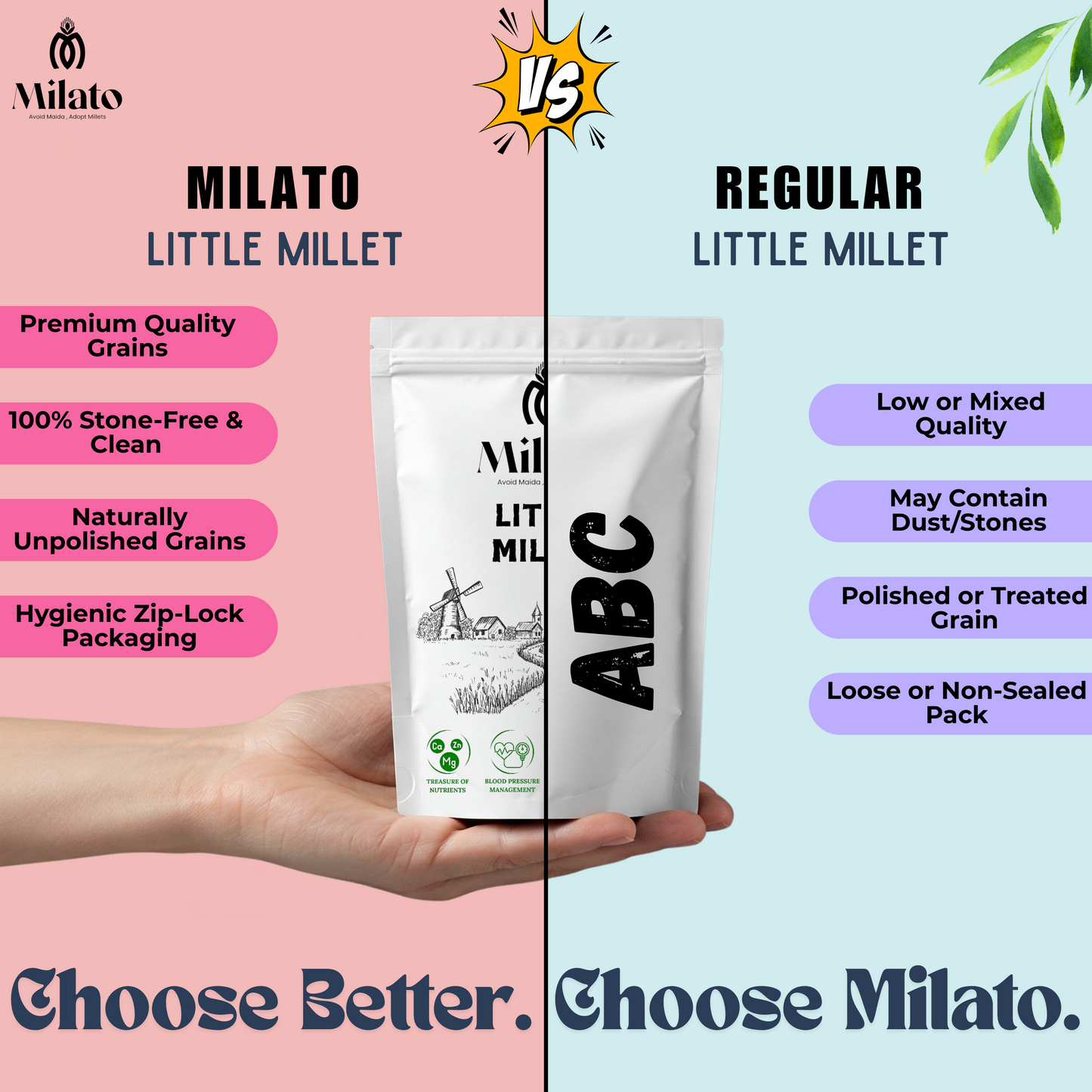 Little Millet Grains
